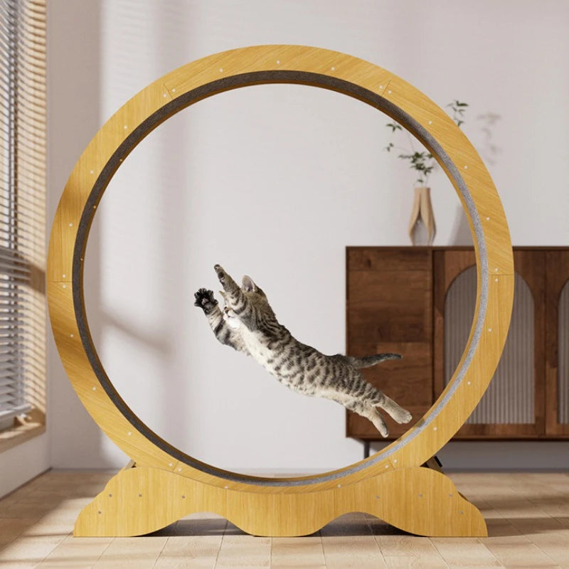 EU STOCK Treadmill for cats, treadmill for cats to parkour at home and small dogs, easy-to-assemble exercise rollers for cats