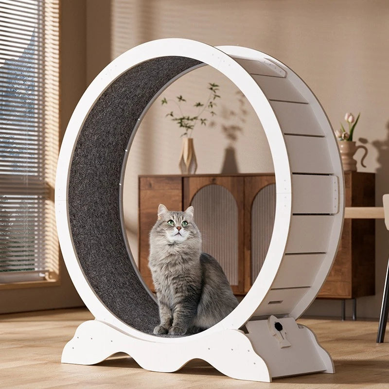 EU STOCK Treadmill for cats, treadmill for cats to parkour at home and small dogs, easy-to-assemble exercise rollers for cats