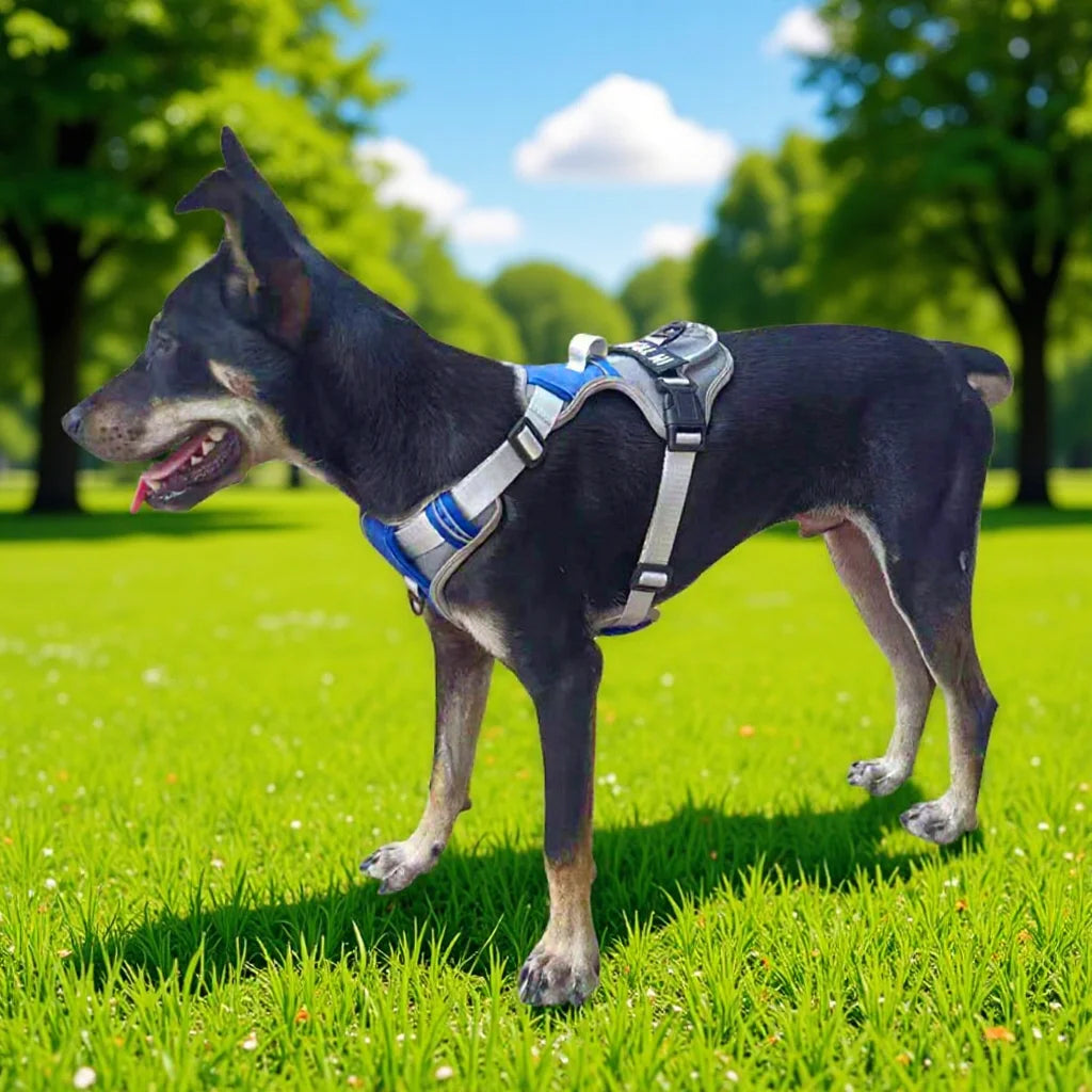 Nylon Adjustable Dog Harness Personalized Dog Harness Vest Reflective Breathable Pet Harness Leash For Small Medium Large Dogs