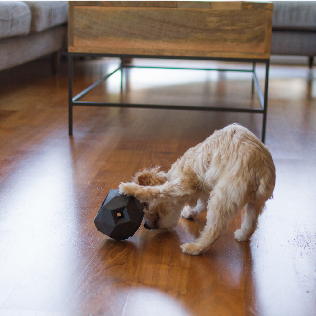 The Odin Treat Dispensing Toy For Dogs