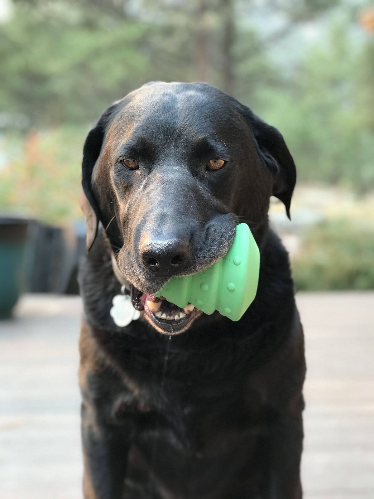 Christmas Tree Dog Toy - Durable Rubber Chew Toy for Large Dogs | USA Made